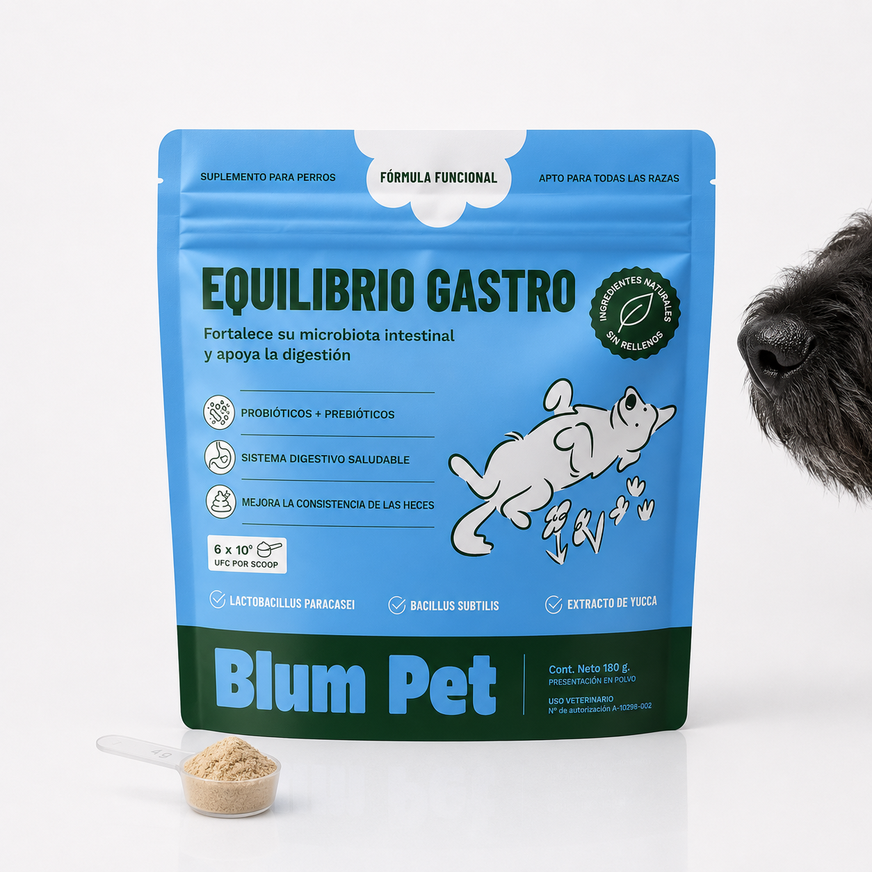 Equilibrio Gastro